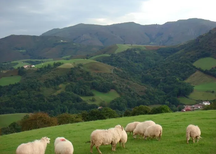 Suraya بيت للعطل بيداري